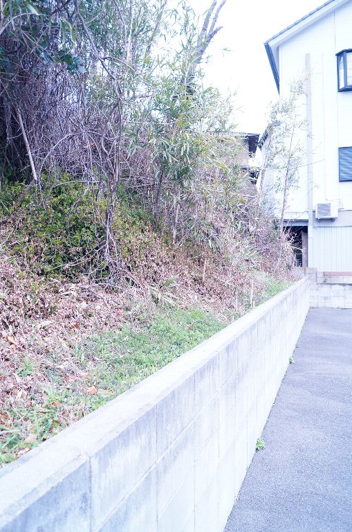 DSC05412 DSC05412