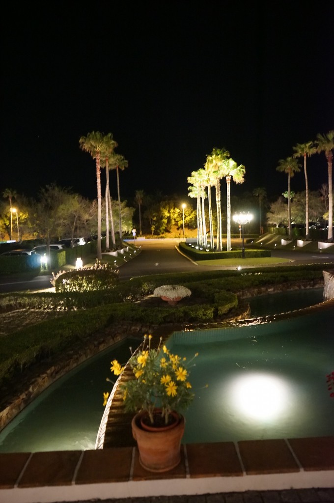 DSC03174