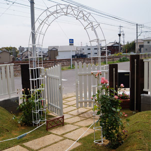 かわいいアーチ